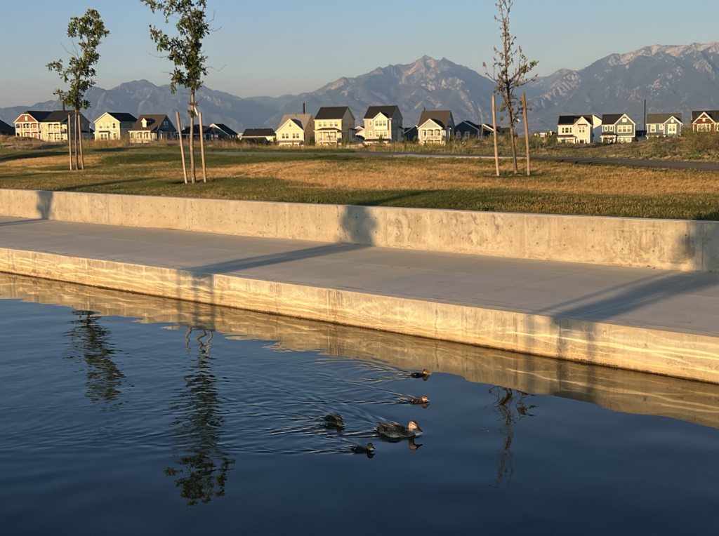 Ducks, Utah, learning, peace